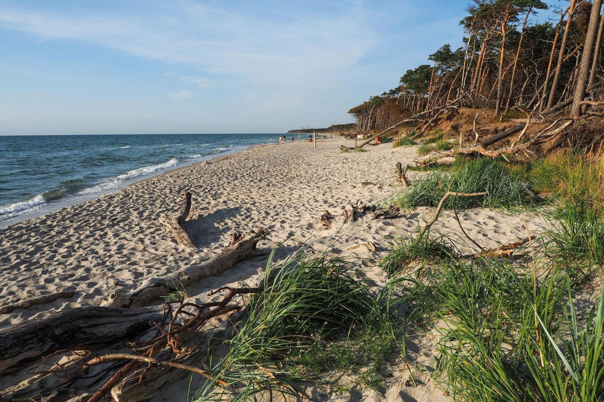 Haus Claudia Lägenhet Zingst Exteriör bild